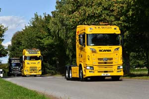 TETLEY JR, Y7 JRT 25se0246