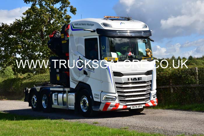 BEWLAKE SN74 XPY 25ch0071