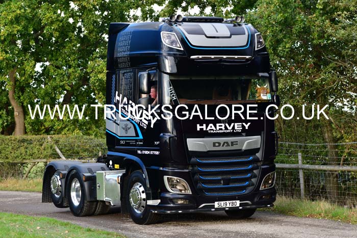 HARVEY SL19 YBO 25ch0447