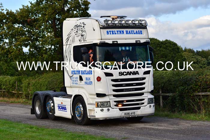 STELYNN KU167 AYO 25ch0566