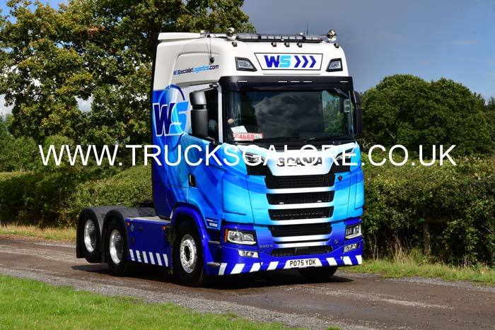 WS PO75 YDK 25ch0208