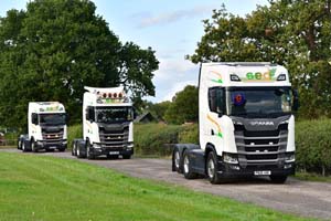 SED PN25 AOK 25ch0524