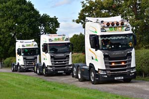 SED PN25 AOO 25ch0526