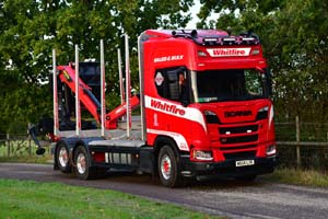 WHITFIRE W555 LOG 25ch0637