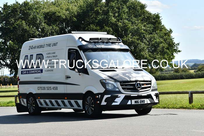 ALD M16 OVO 25cv0391