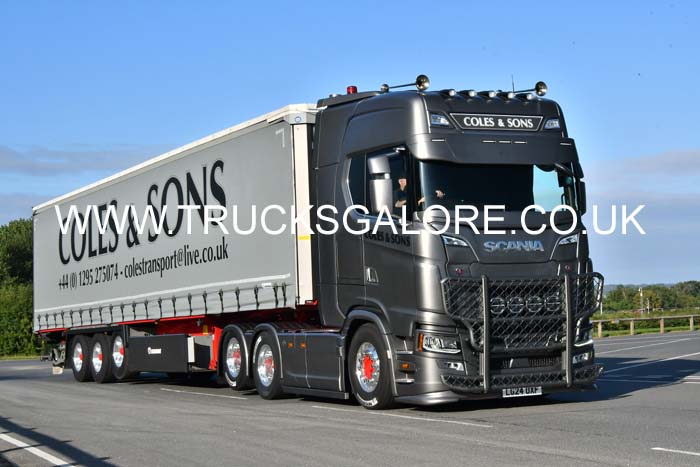 COLES LG24 OXF 25cv1309