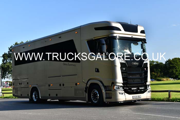 HORSES EX25 HDU 25cv0847