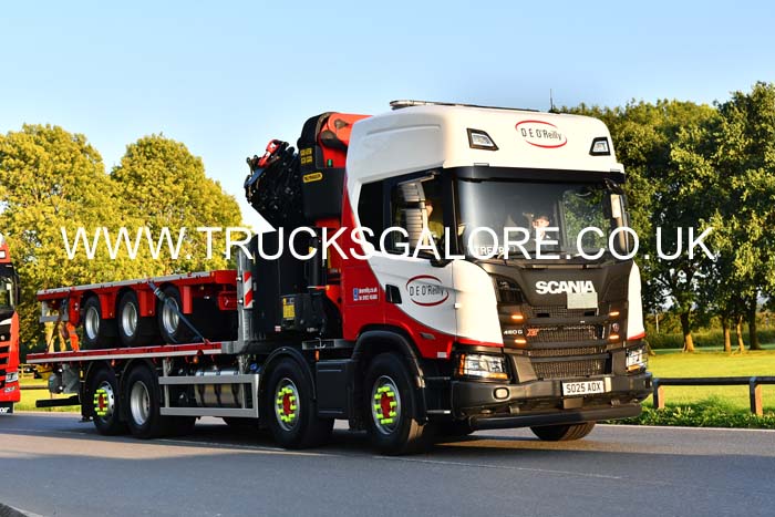 OREILLY SO25 AOX 25cv1072