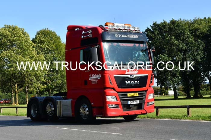 SHIELDS GN17 PZP 25cv0737