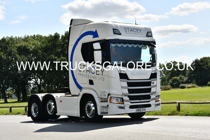 STACEY CN20 ZYS 25cv0250