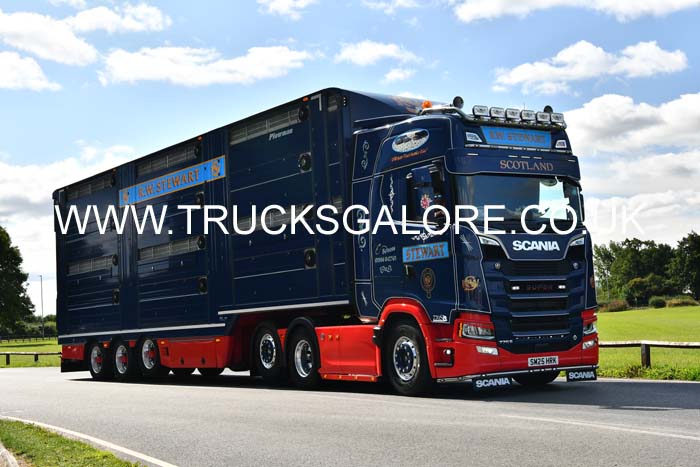 STEWART RW, SM25 HRK 25cv0019