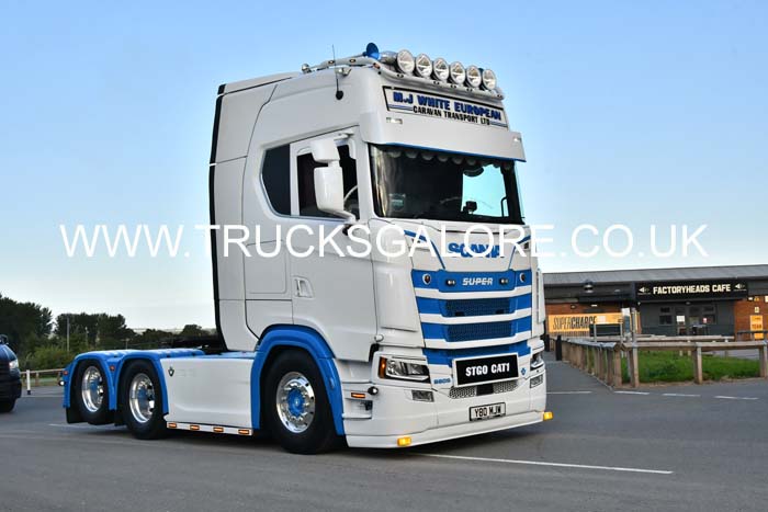 WHITE MJ, Y80 MJW 25cv1291