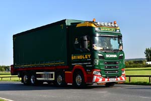 BRINDLEY BV21 UBT 25cv0884