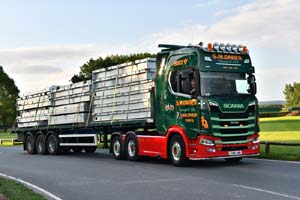 DAVIES SM, VB16 SMD 25cv1255