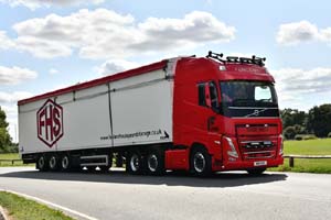 FENLAND N19 FHS 25cv0174