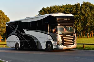 HORSES RX54 FTP 25cv1115