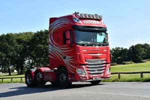 REDFERNS RB16 COW 25cv0508