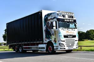 ROGERS CD17 DGD 25cv0655