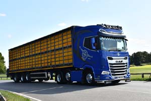 UNNAMED W80 DOD 25cv0392