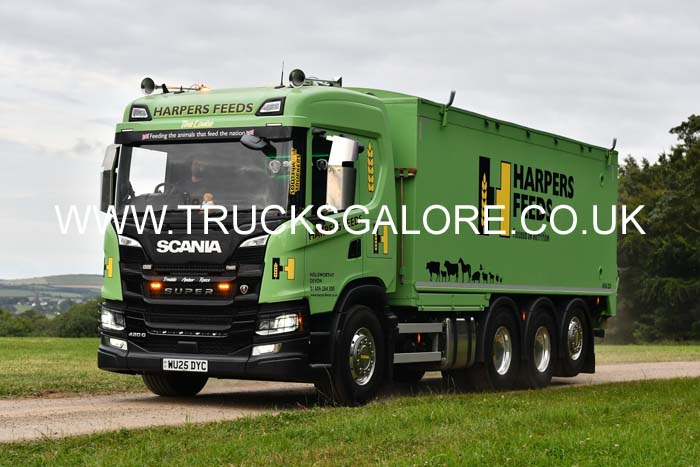 HARPERS WU25 DYC 25cw0433