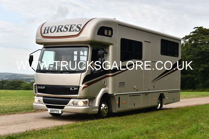 HORSES A19 PYS 25cw0427