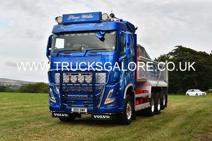 WILLS, STEVE D25 SWH 25cw0423