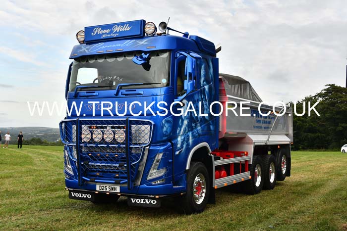 WILLS, STEVE D25 SWH 25cw0424