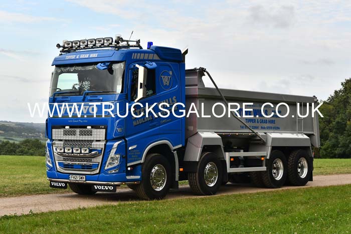 WILLS, STEVE FH21 SWH 25cw0421