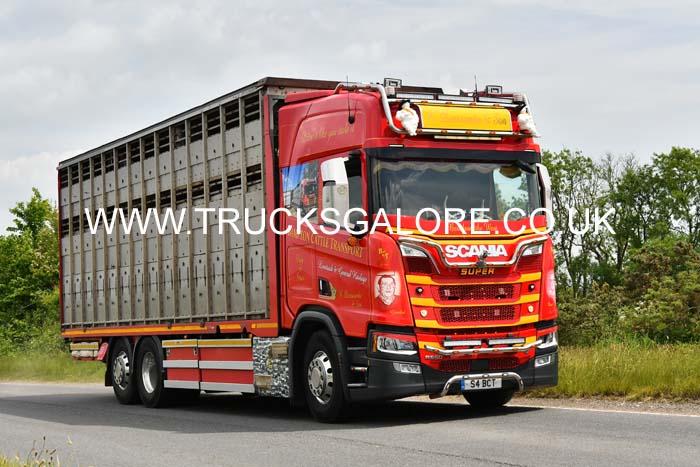 25dv0131