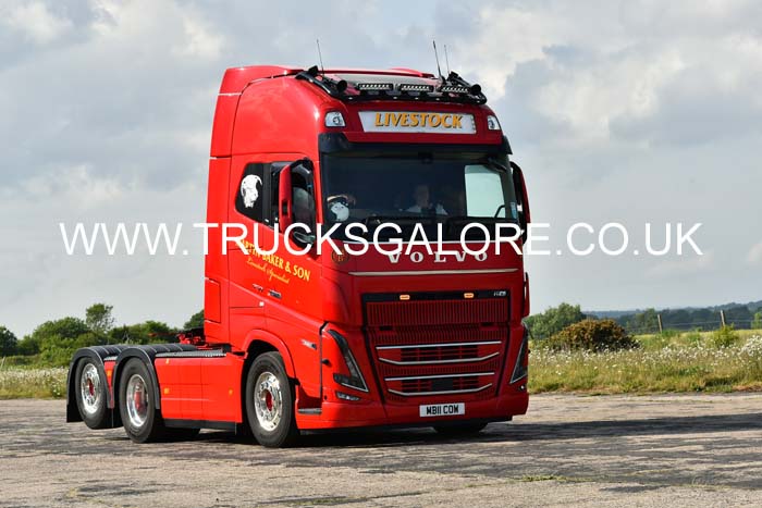 BAKER, MARTYN MB11 COW 25dv0370