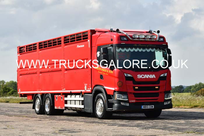 BAKER, MARTYN MB15 COW 25dv0369