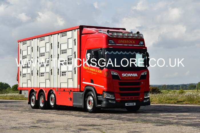 BAKER, MARTYN MB21 COW 25dv0368