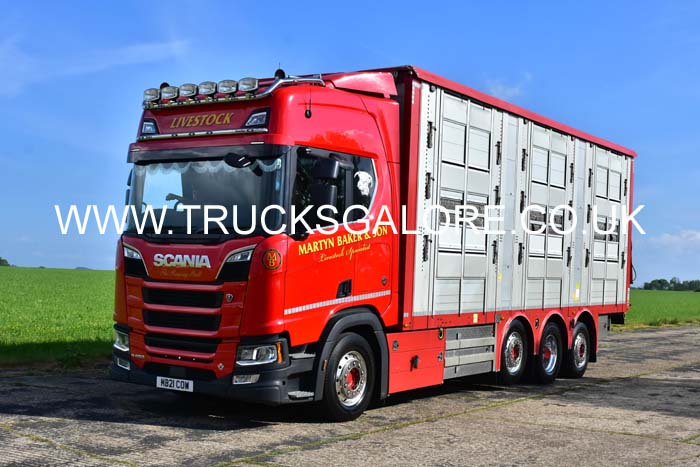 BAKER, MARTYN MB21 COW 25dv1114