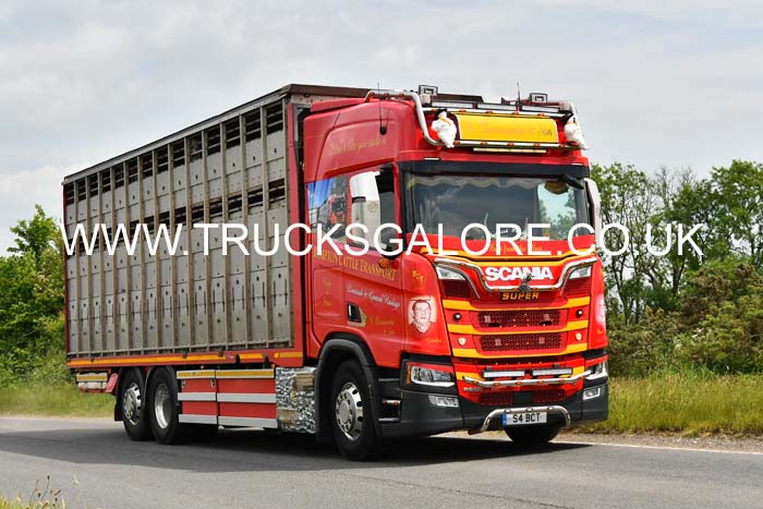 BAMPTON S4 BCT 25dv0131