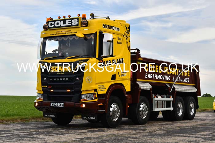 COLES PLANT WU25 DWV 25dv0587