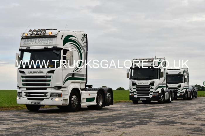 COOPER, ASHLEY PY63 DGO 25dv0633