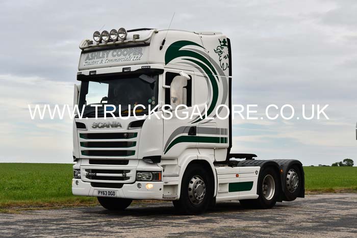 COOPER, ASHLEY PY63 DGO 25dv0634