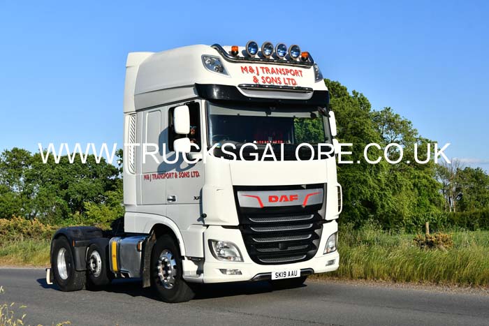 M&J SK19 AAU 25dv0034