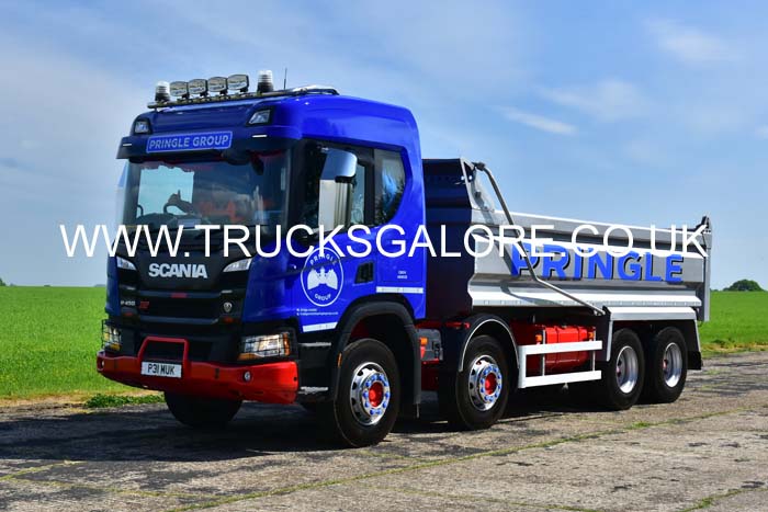 PRINGLE P31 MUK 25dv0963