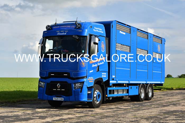 SANDIFORD, TREVOR T520 COW 25dv0476