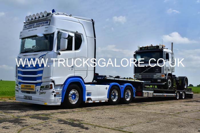 WHITE MJ, Y80 MJW 25dv0912