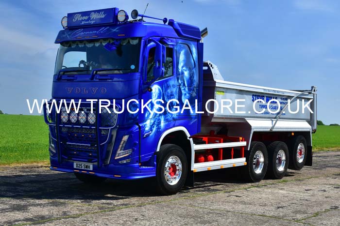 WILLS, STEVE D25 SWH 25dv0987