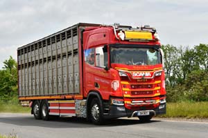 25dv0131