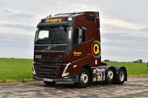 GREGORY WF24 HZP 25dv0665