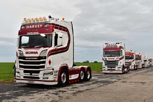 HARVEY, STUART X8 SHT 25dv0697