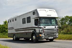 HORSES E26 SHS 25dv0147