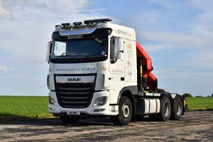 KINGSLEY K15 KPL 25dv0506