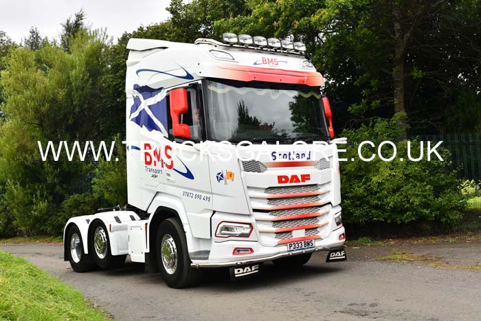 BMS P333 BMS 25ed0005