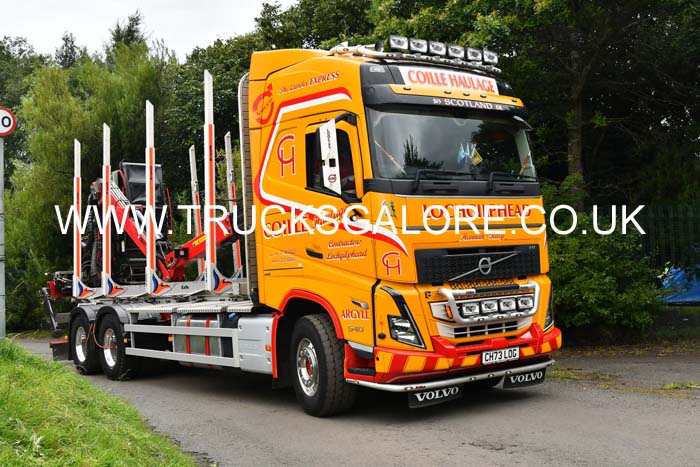 COILLE CH73 LOG 25ed0591