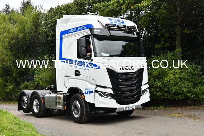 DUNDEE PLANT ST25 PUJ 25ed0496